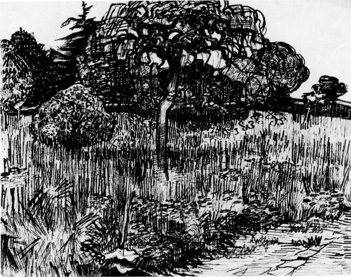  文森特·威廉·梵高  Vincent Willen Van Gogh —— 树 (14)